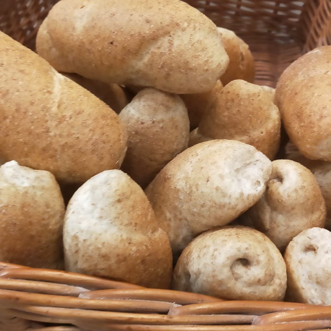 nuovo miro Pane integrale