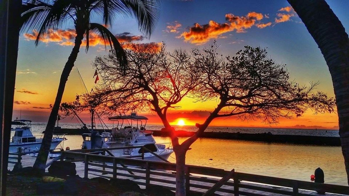 A sunset over a body of water with palm trees in the foreground