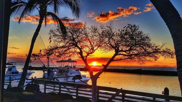 A sunset over a body of water with palm trees in the foreground
