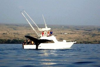 A whale is swimming next to a boat in the ocean