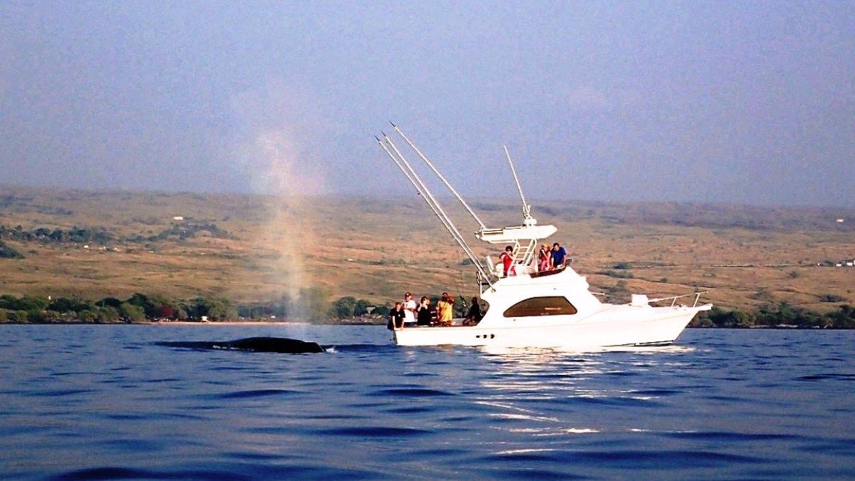 A large white boat is floating on top of a large body of water.