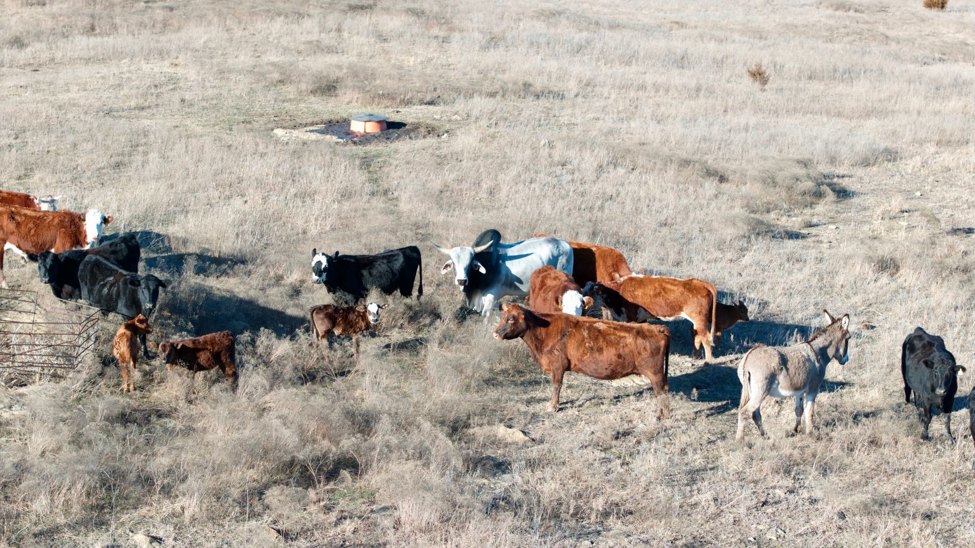 Drone Photography Oklahoma Stillwater Low-Cost  Cheap