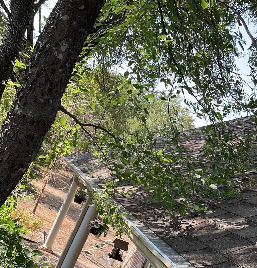Tree and Roof Gutter — Fort Worth, TX — The Rain Man