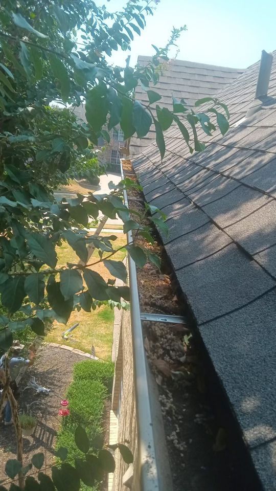 Roof Gutter with Leaves — Fort Worth, TX — The Rain Man