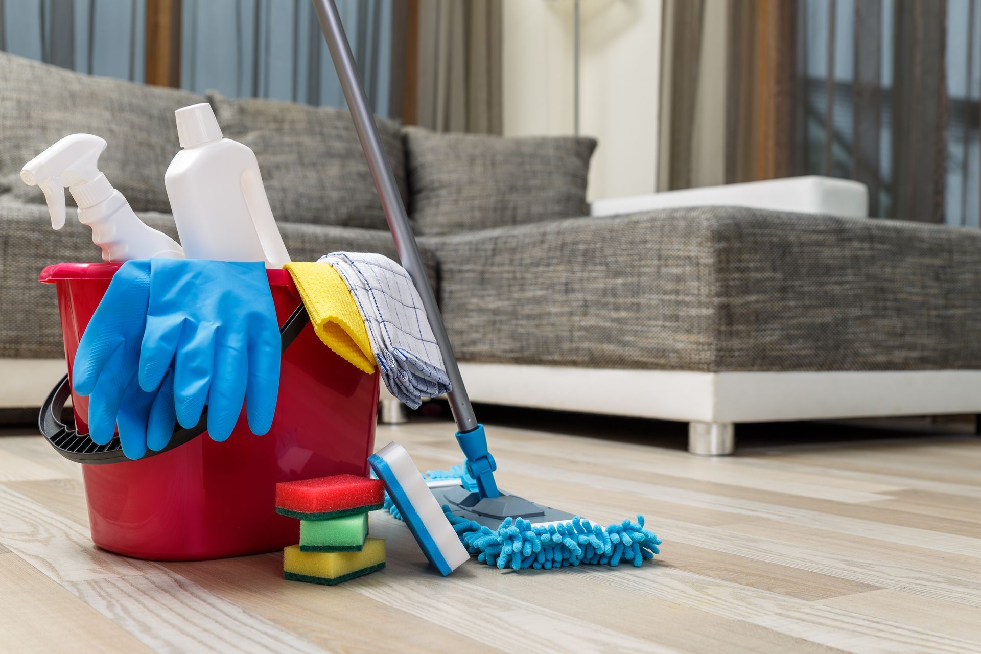 Cleaning supplies arranged on a wooden floor in front of a gray sofa.