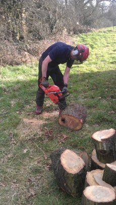 Stump cutting