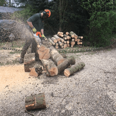Hardwood logs