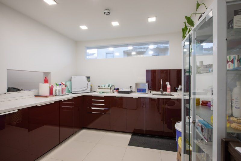 dentista e odontoiatra