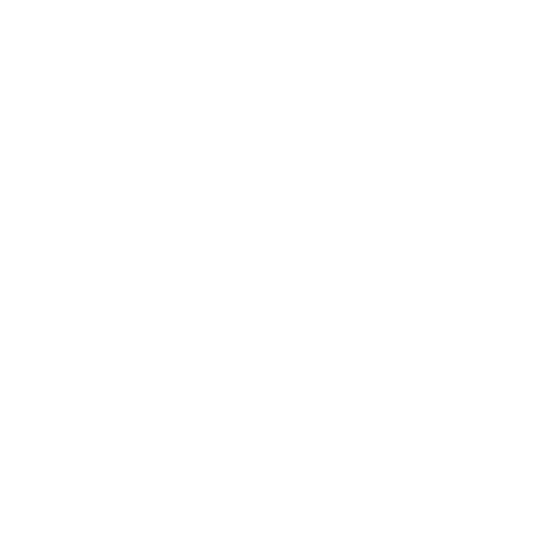 Silverfern Senior Living Logo