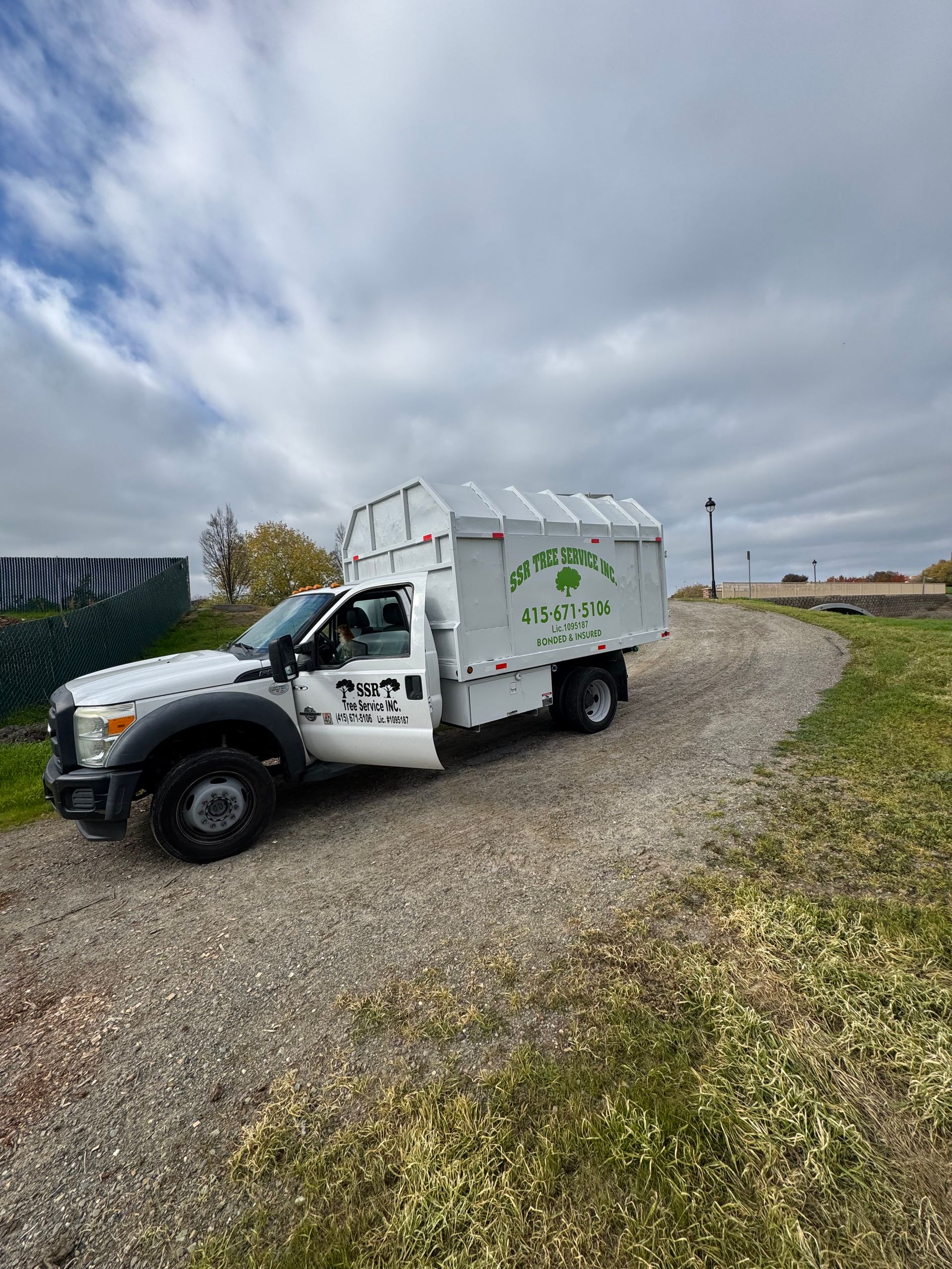 SSR Tree Service Walnut Creek