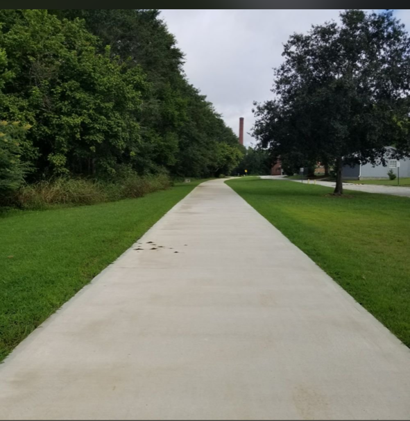 A concrete walkway going through a lush green field