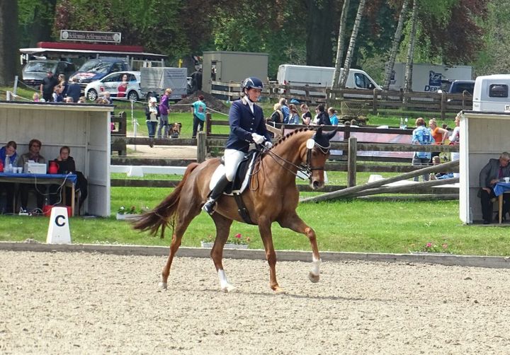 Ein Mann reitet auf einem braunen Pferd in einer Sandarena