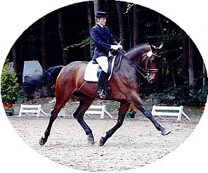 Ein Mann reitet auf einem braunen Pferd im Kreis