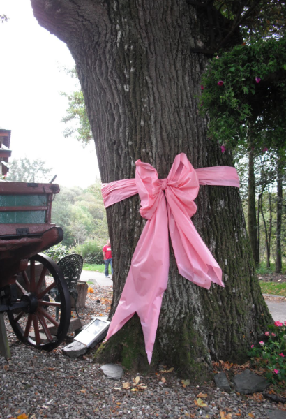 Pink Tree Ribbon with sign
