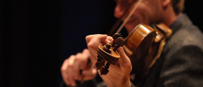 A musician playing a violin; close-up of hands and instrument, dark background.