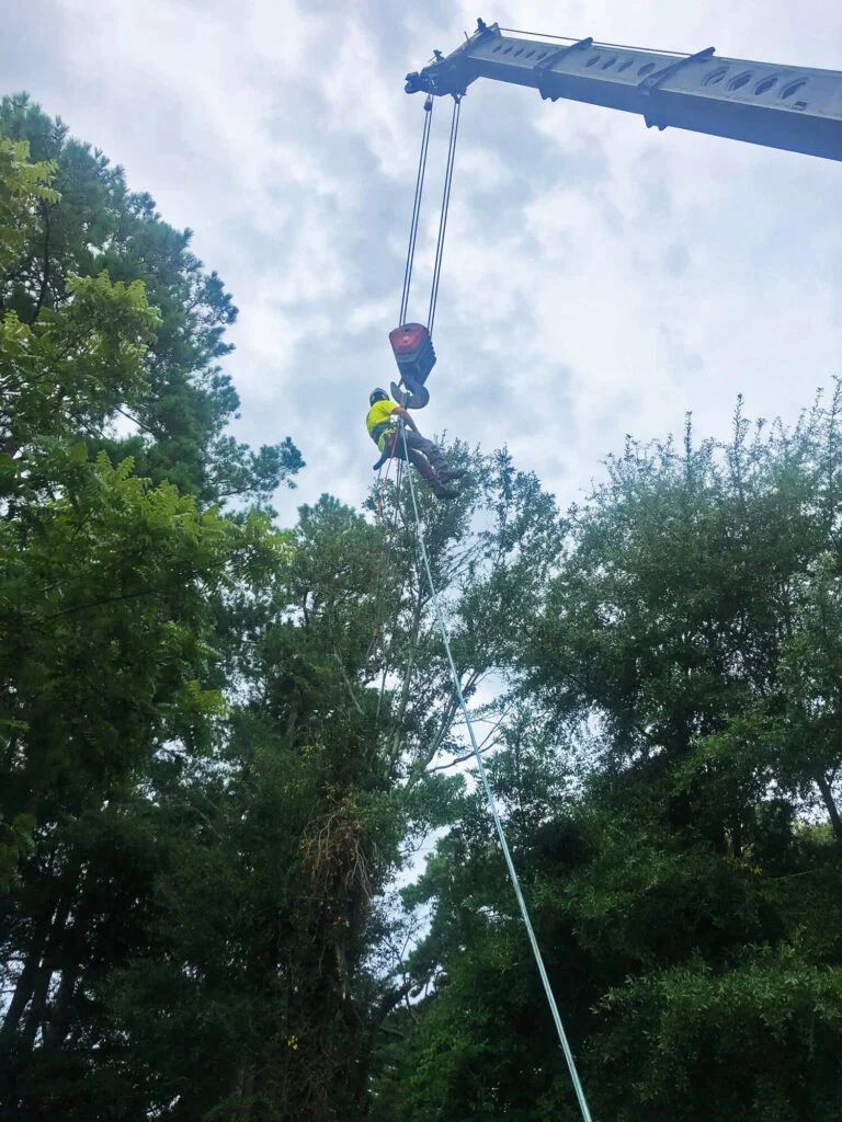 A man is climbing a tree with a crane attached to it