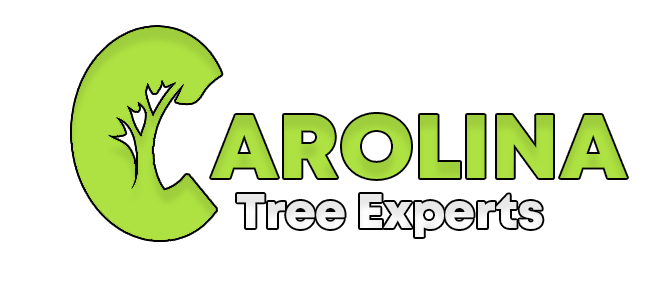 Logo for Carolina Tree Experts, LLC: black tree silhouette, green "Carolina", text, and South Carolina outline, EST 2024.