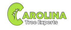 Logo for Carolina Tree Experts, LLC: black tree silhouette, green "Carolina", text, and South Carolina outline, EST 2024.