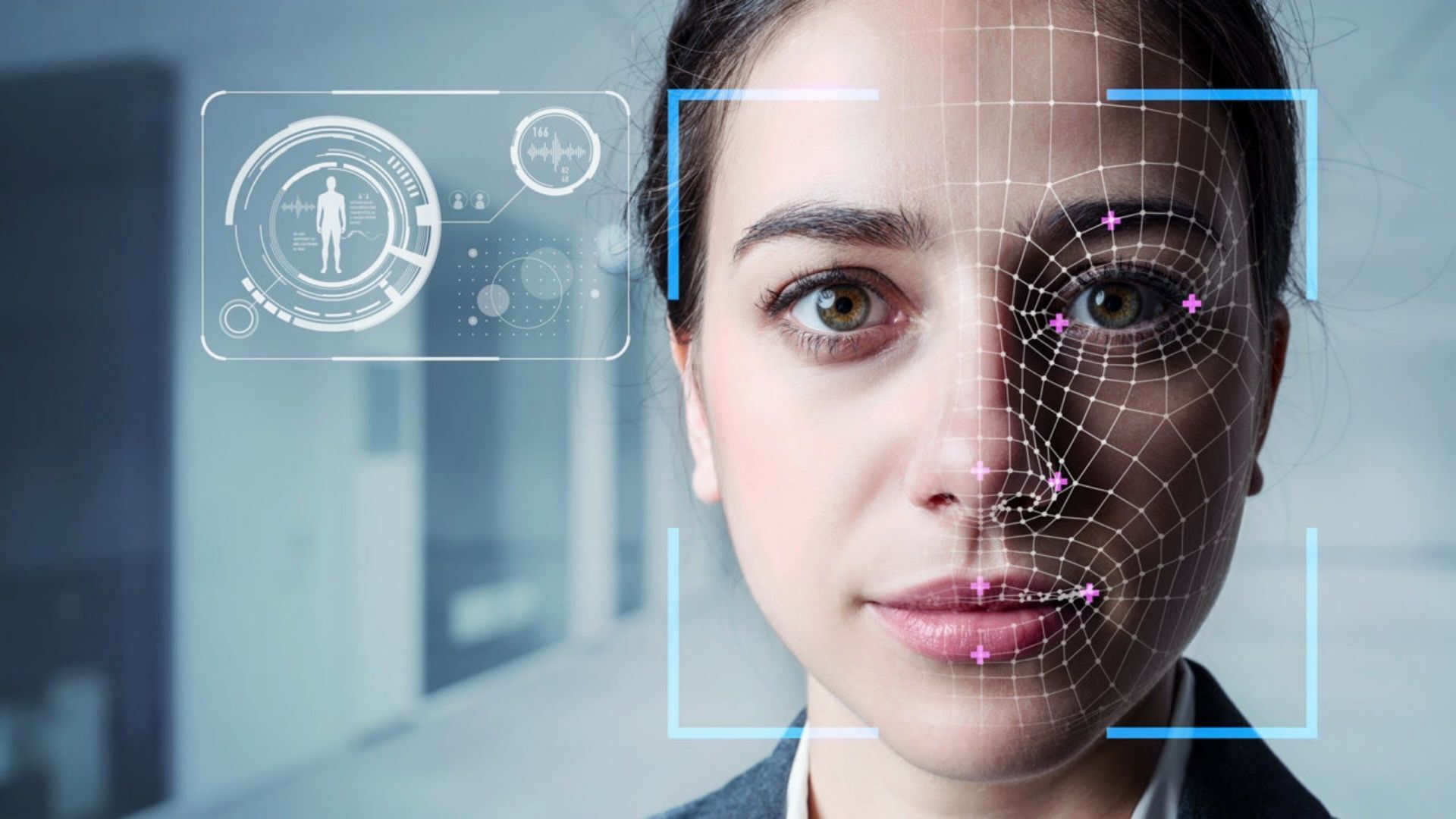 How to Get Mutual Recognition ACT builders Licence