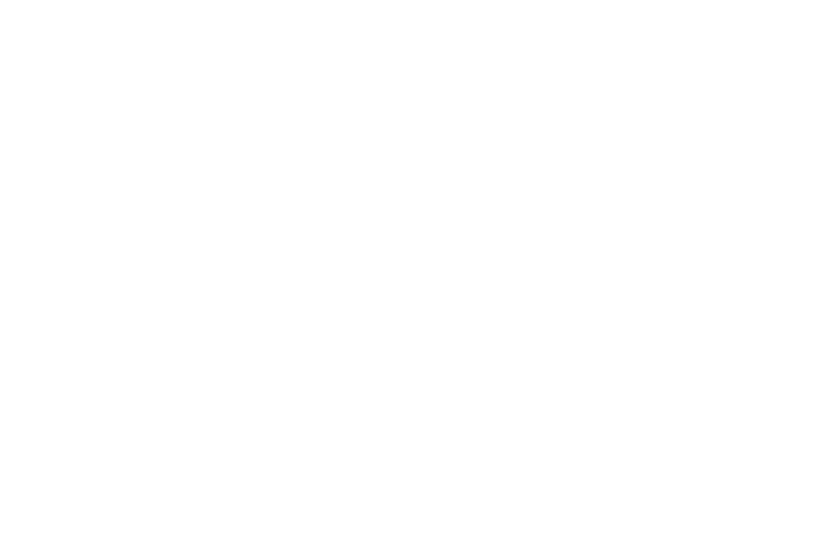 Clip Em' Up Footer Logo