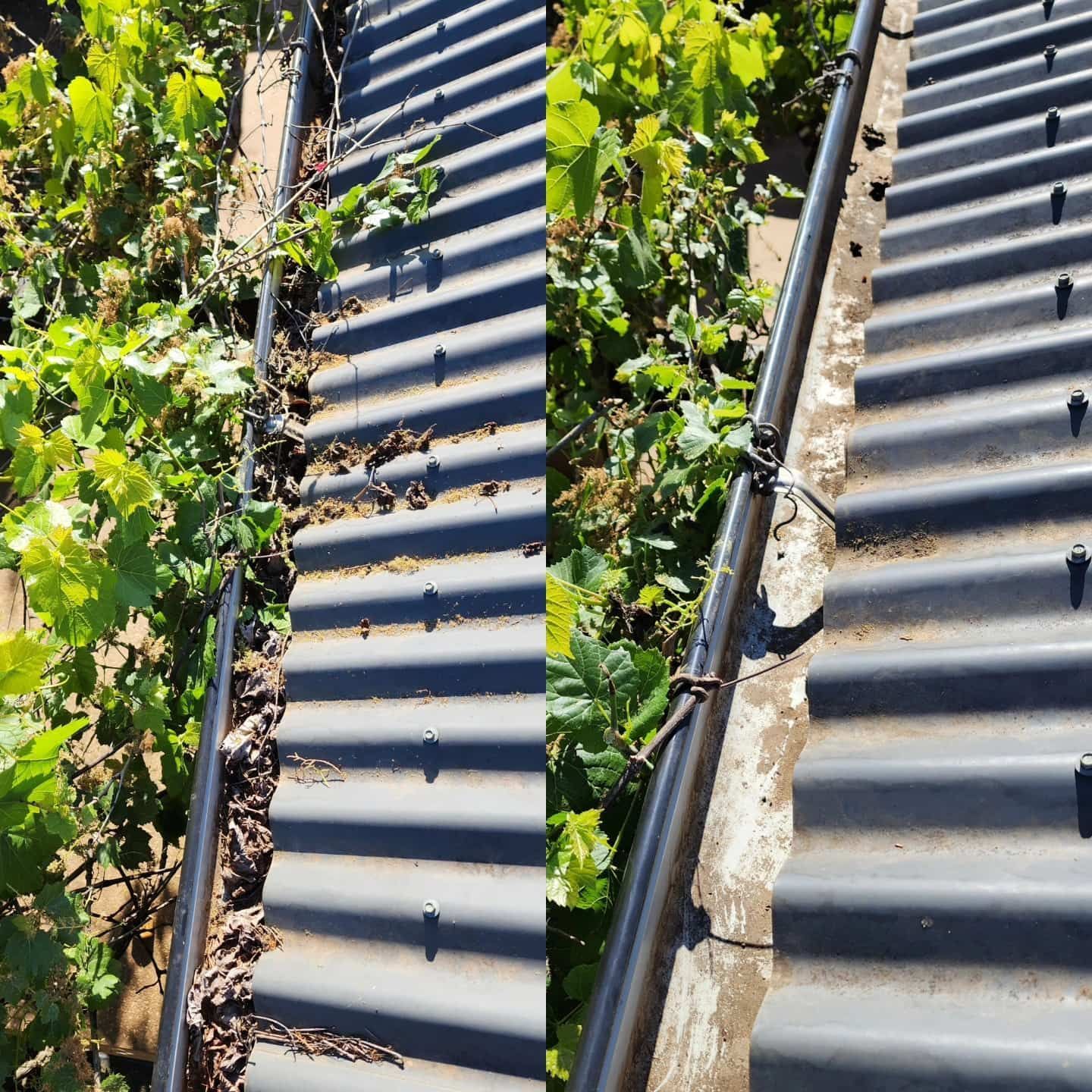 Gutter Cleaning Comparison: Before and After — Rapid Rinse Solutions in Yarrawonga, VIC