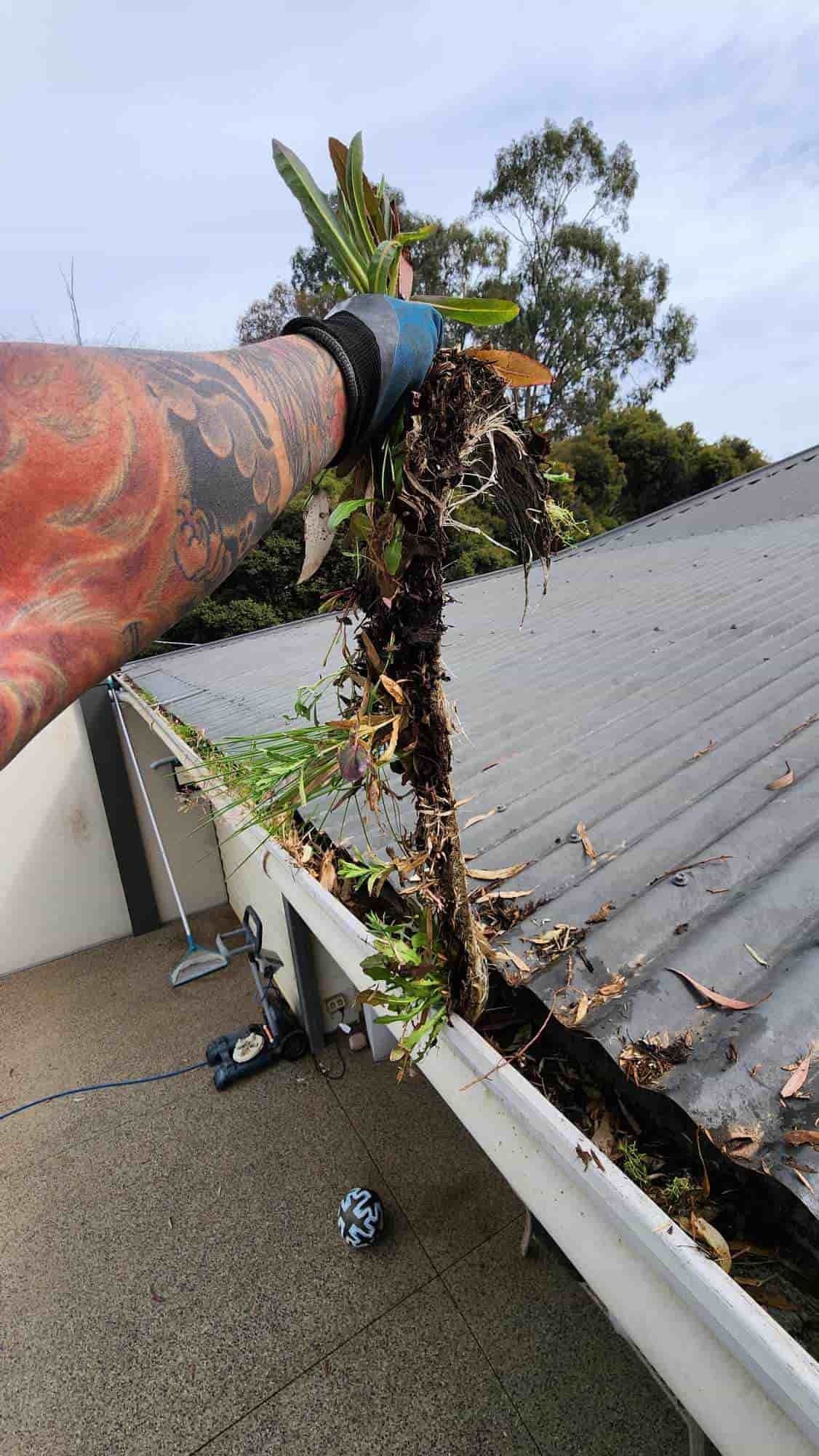 Person in Glove Cleaning a Gutter Full of Debris on a Rooftop — Rapid Rinse Solutions in Cobram, VIC