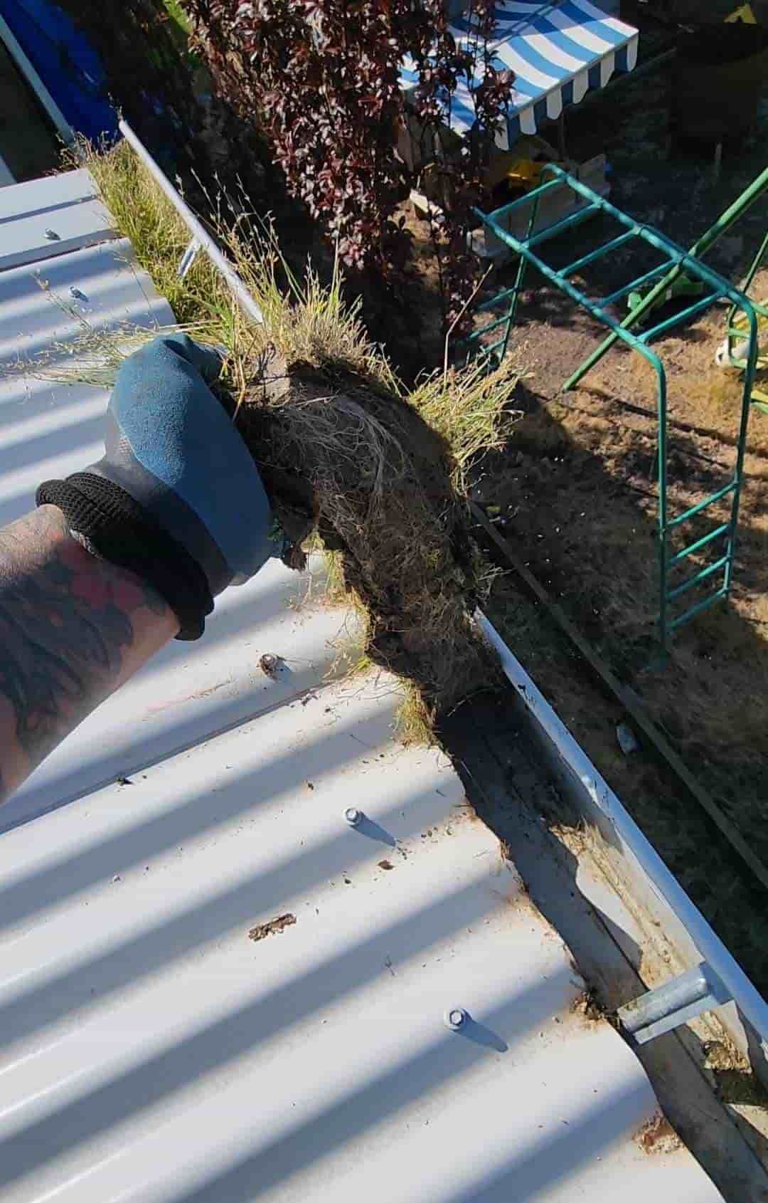 Person Cleaning a Clogged Gutter on a Corrugated Metal Roof — Rapid Rinse Solutions in Tatura, VIC