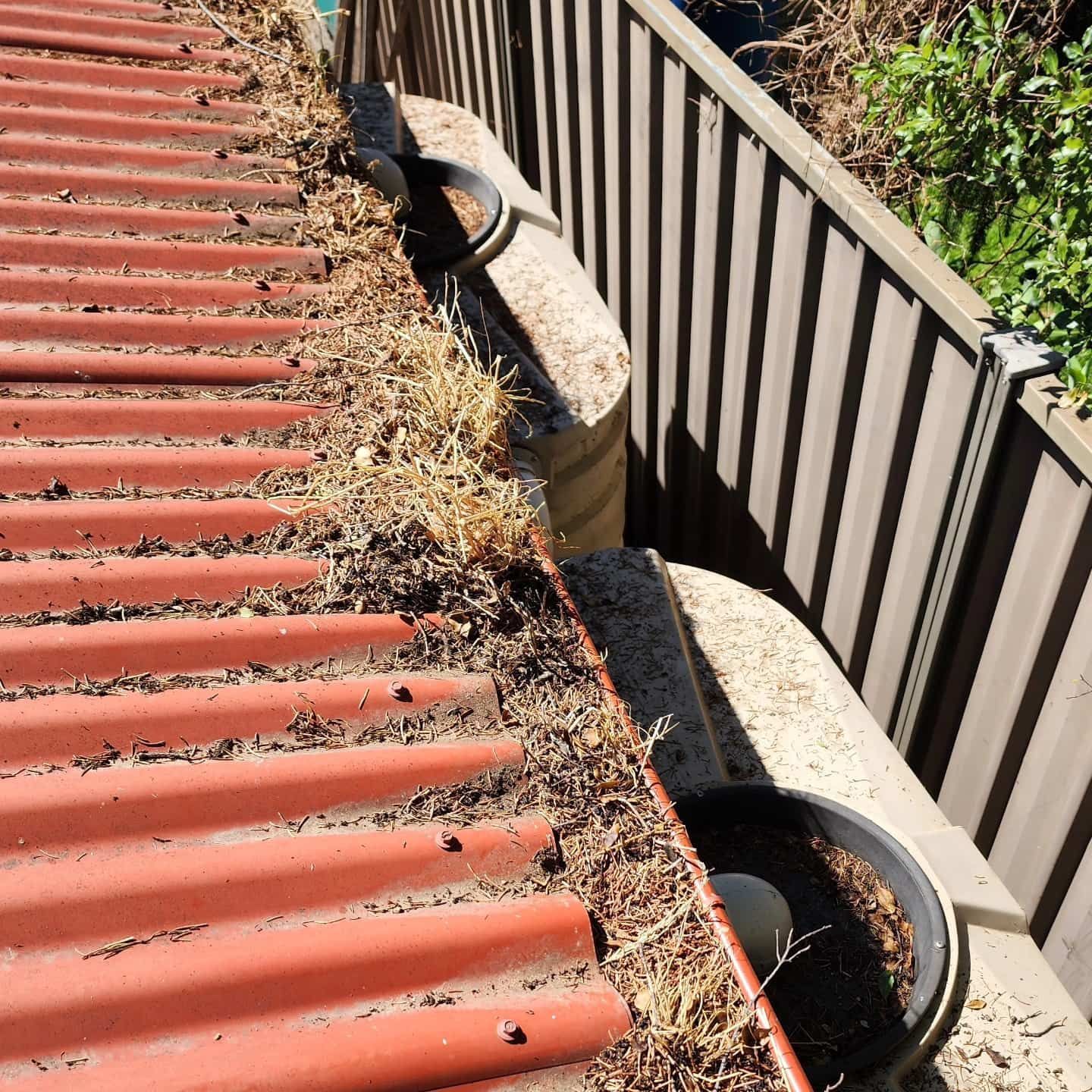 Red Corrugated Roof and Gutter Overflowing With Dry Leaves — Rapid Rinse Solutions in Shepparton, VIC