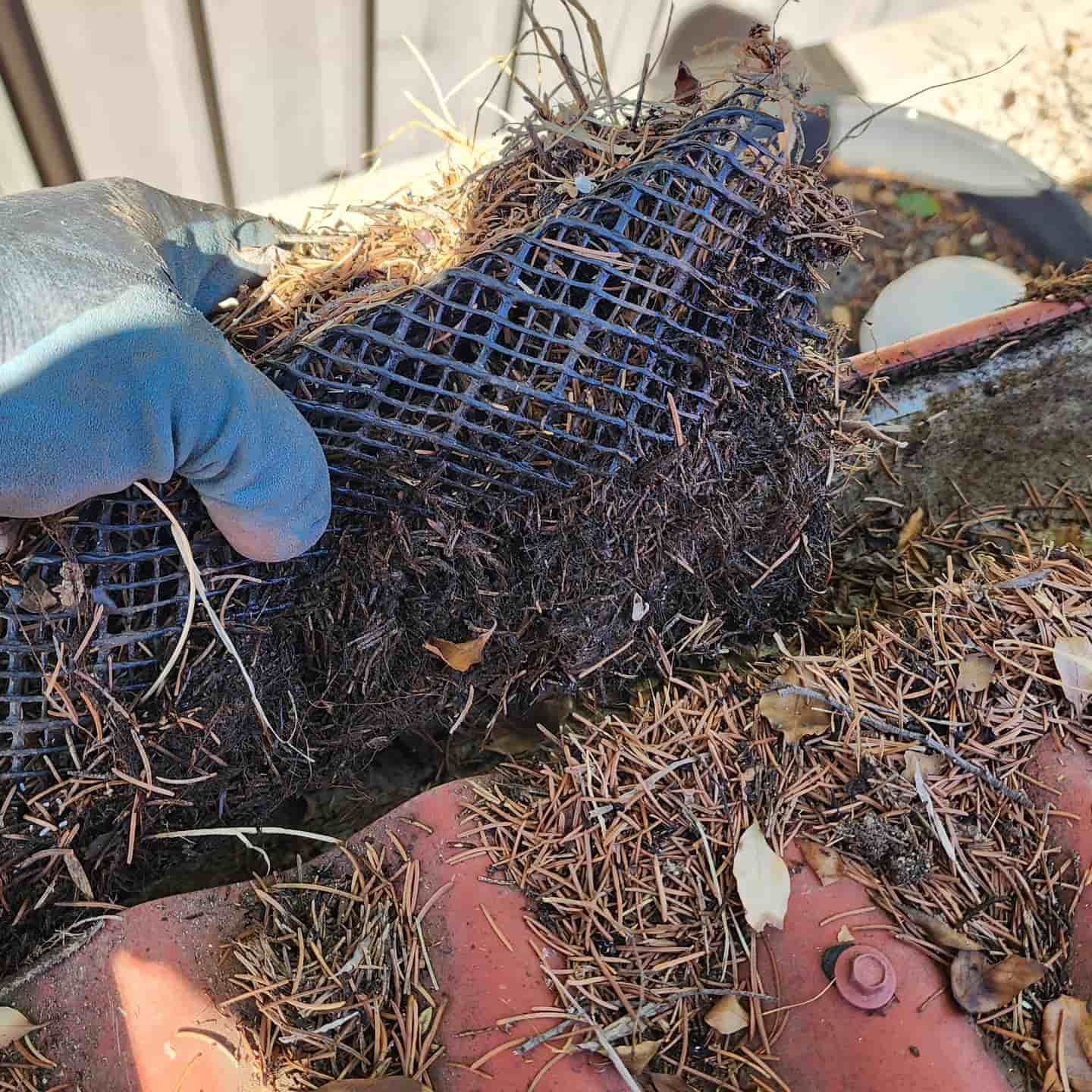 Gloved Hand Holding a Clogged Gutter Guard — Rapid Rinse Solutions in Yarrawonga, VIC