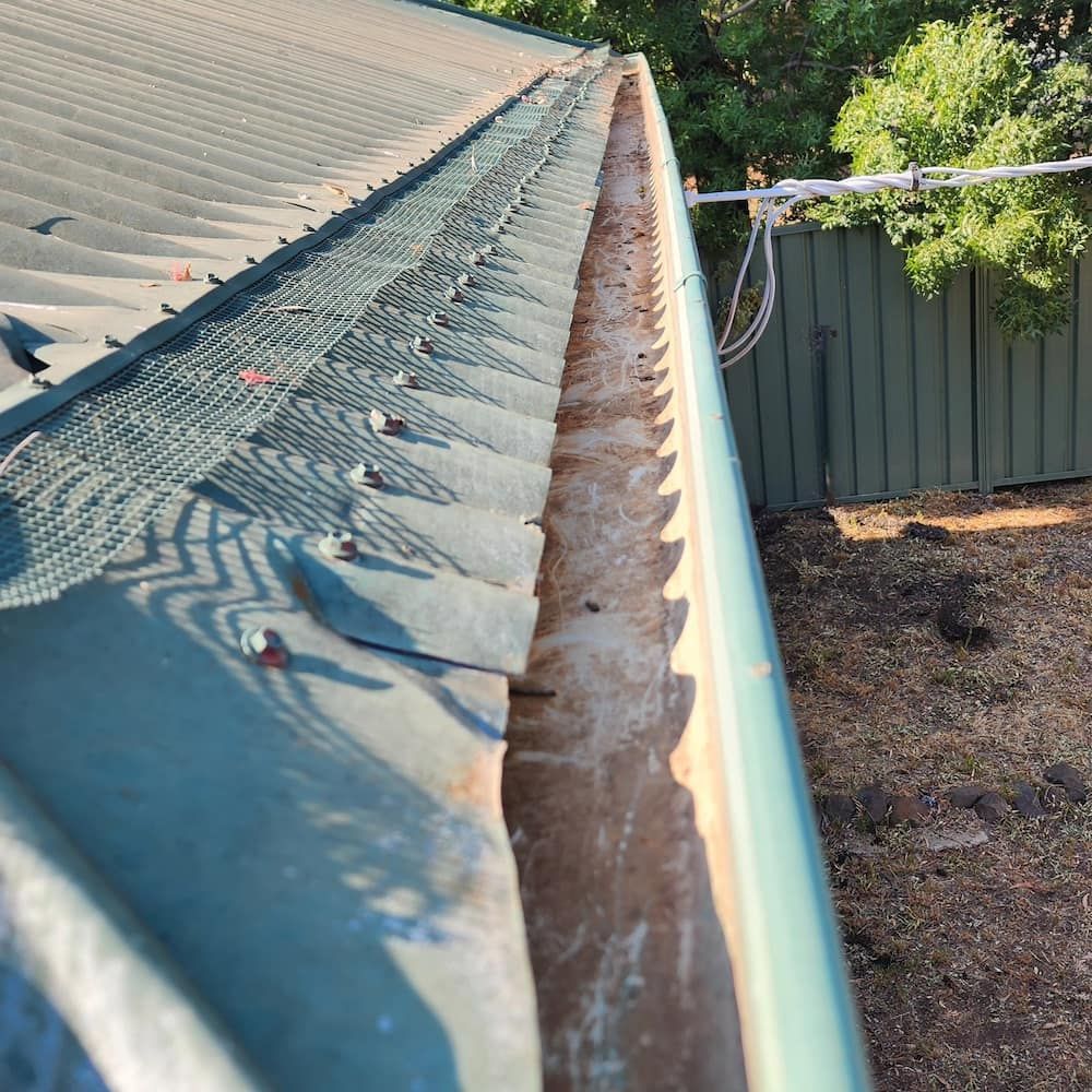Green Roof Gutter Filled With Debris — Rapid Rinse Solutions in Cobram, VIC