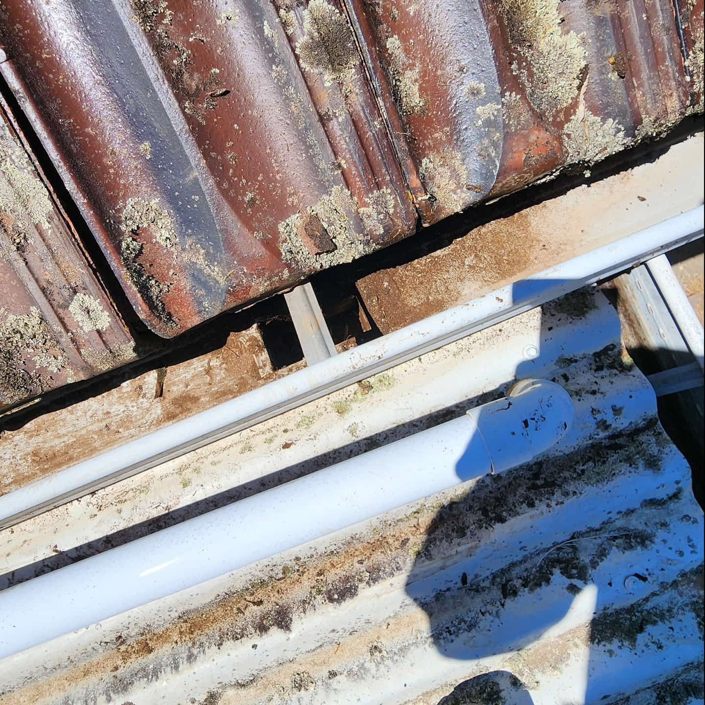 Overhead View of a Roof With Red-brown Tiles and a White Gutter; Debris Visible — Rapid Rinse Solutions in Shepparton, VIC