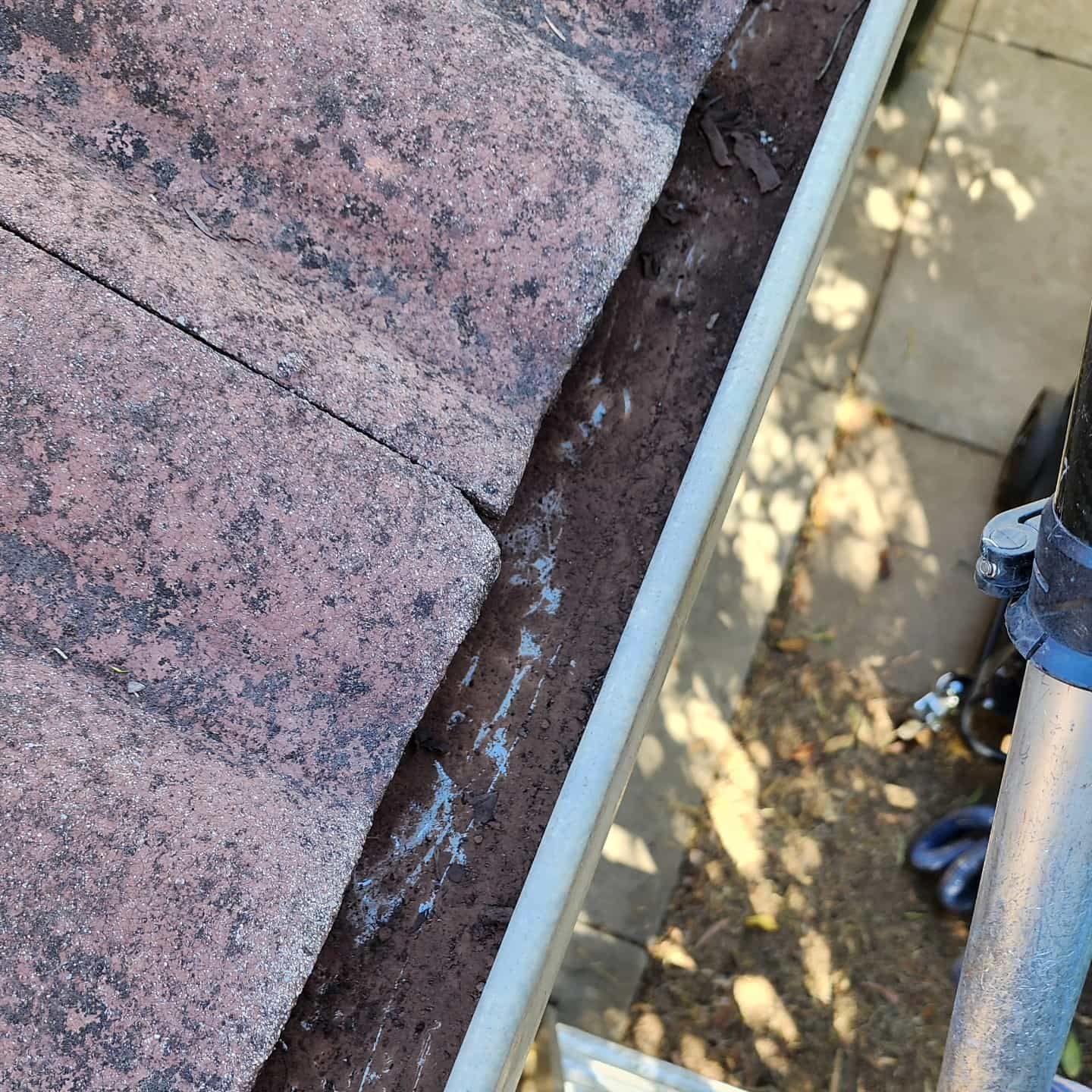 Gutters Filled With Debris Next to a Tiled Roof — Rapid Rinse Solutions in Cobram, VIC