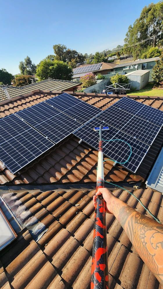 Person Cleaning Solar Panels on a Roof With a Pole — Rapid Rinse Solutions in Cobram, VIC