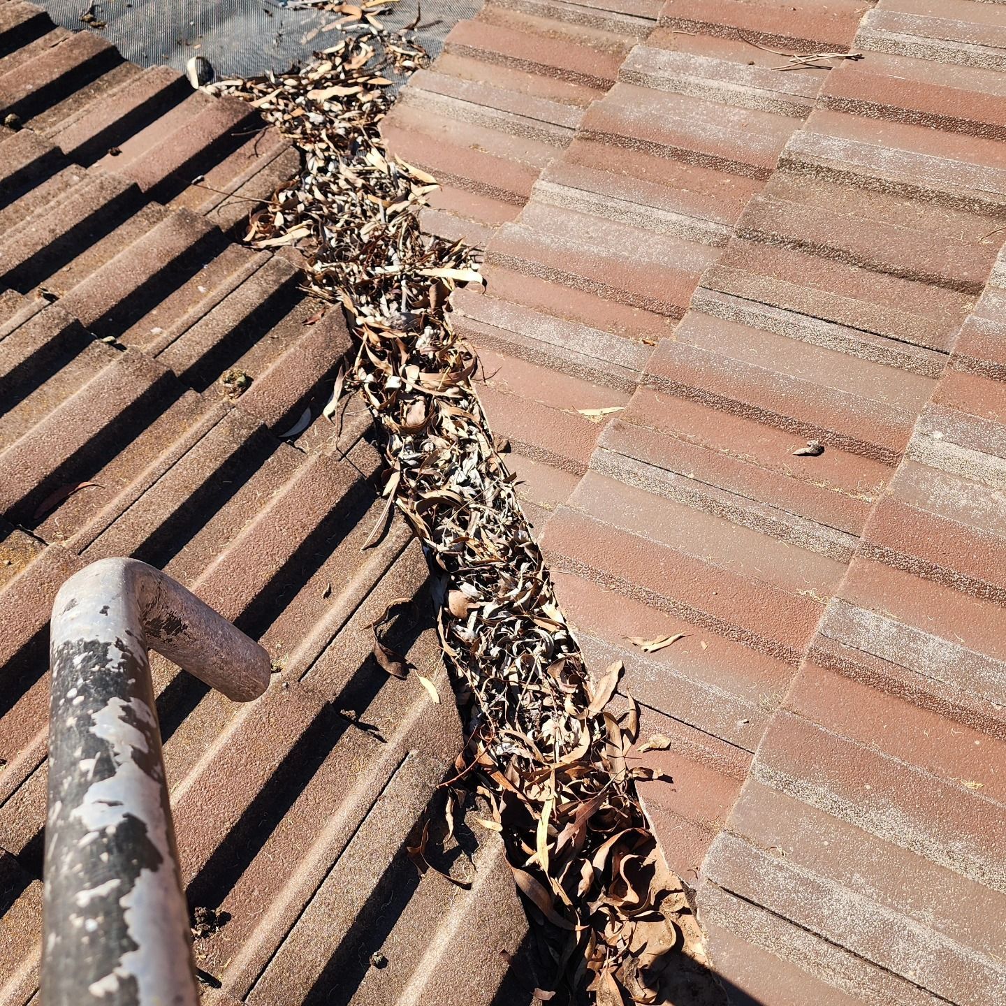 A Person Uses a Skyvac Gutter Cleaning System — Rapid Rinse Solutions in Shepparton, VIC
