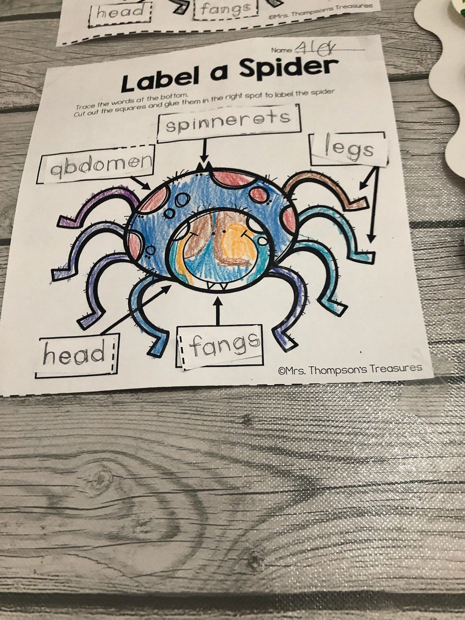 A label a spider worksheet is sitting on a wooden table.