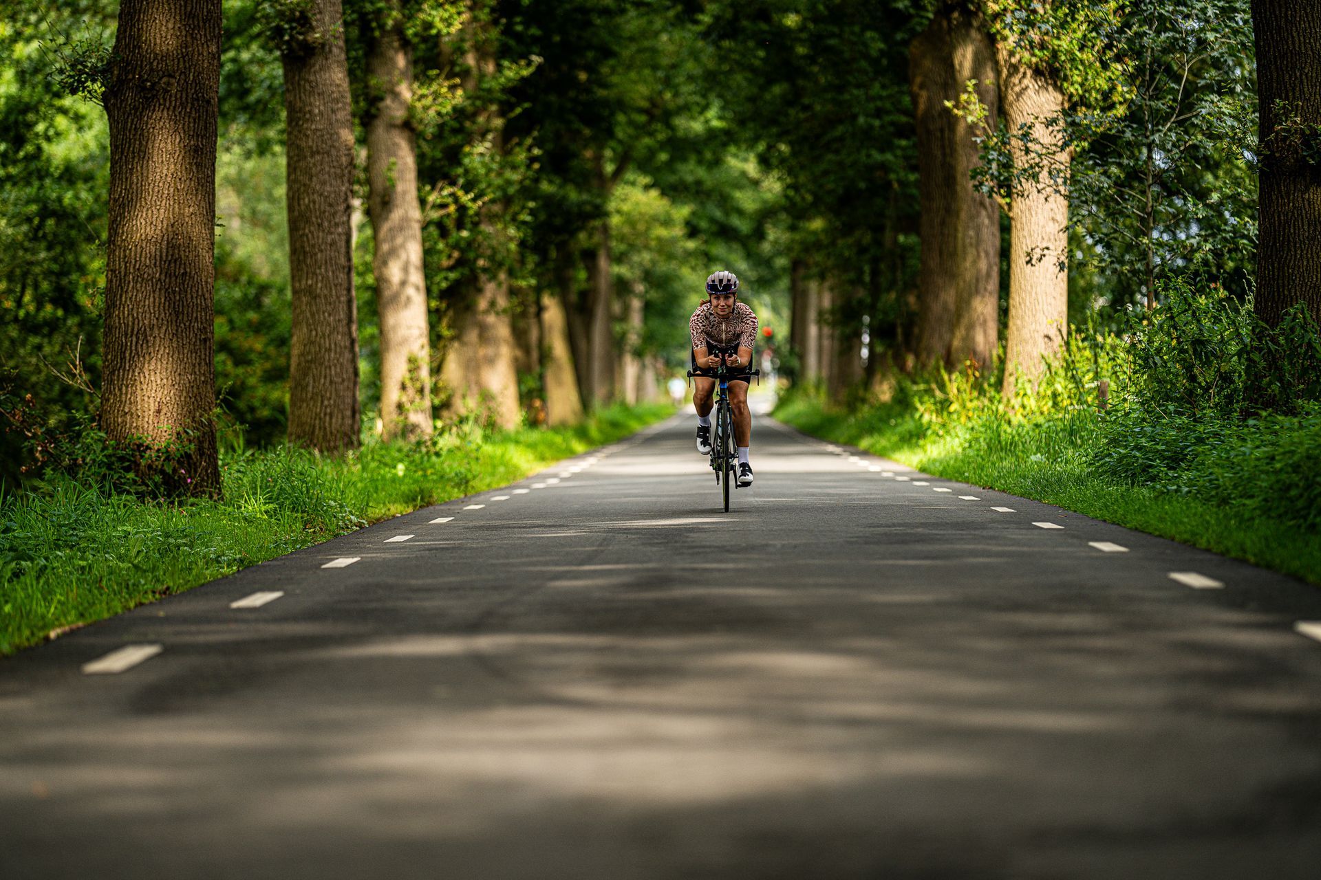 Iemand fietst over een weg met bomen.