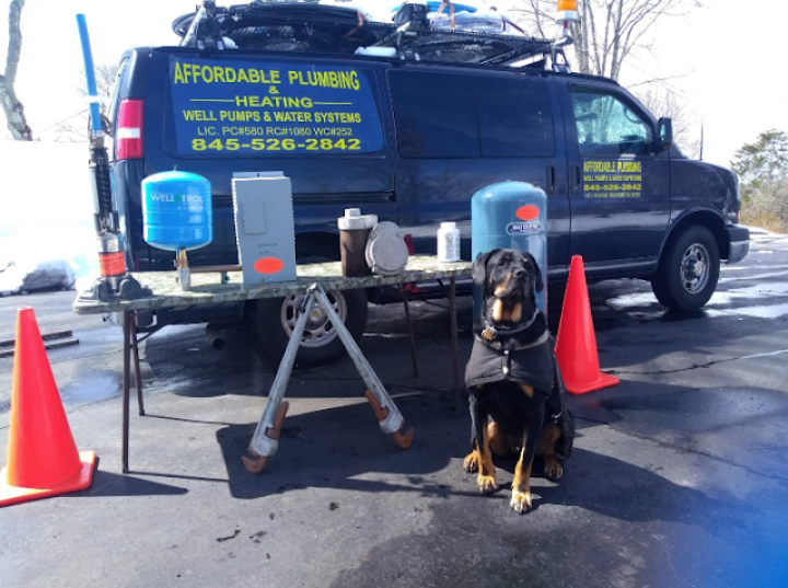 A black van is parked on the side of the road next to a dog.