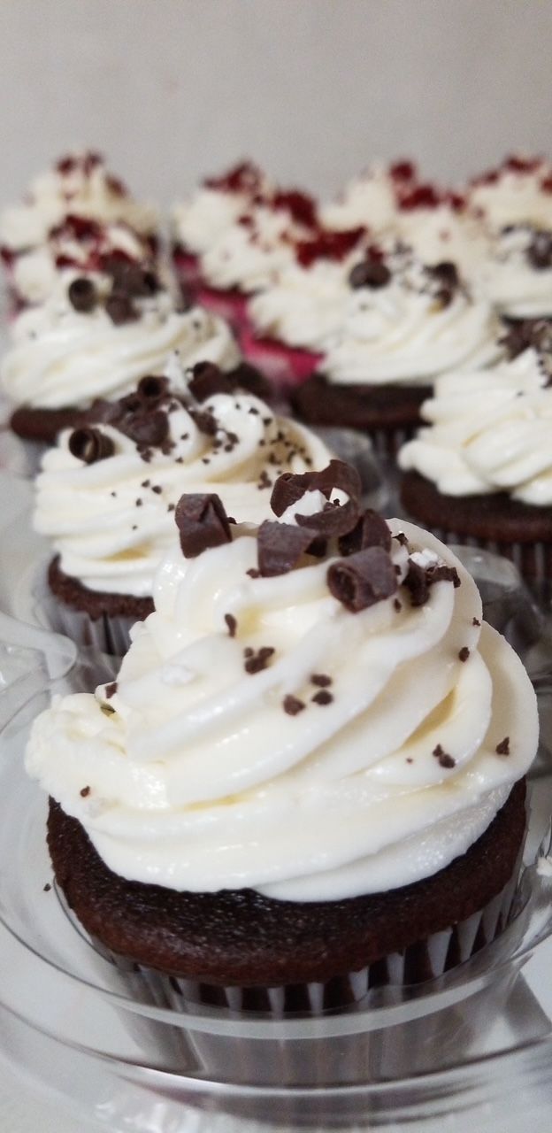 A chocolate cupcake with white frosting and chocolate sprinkles