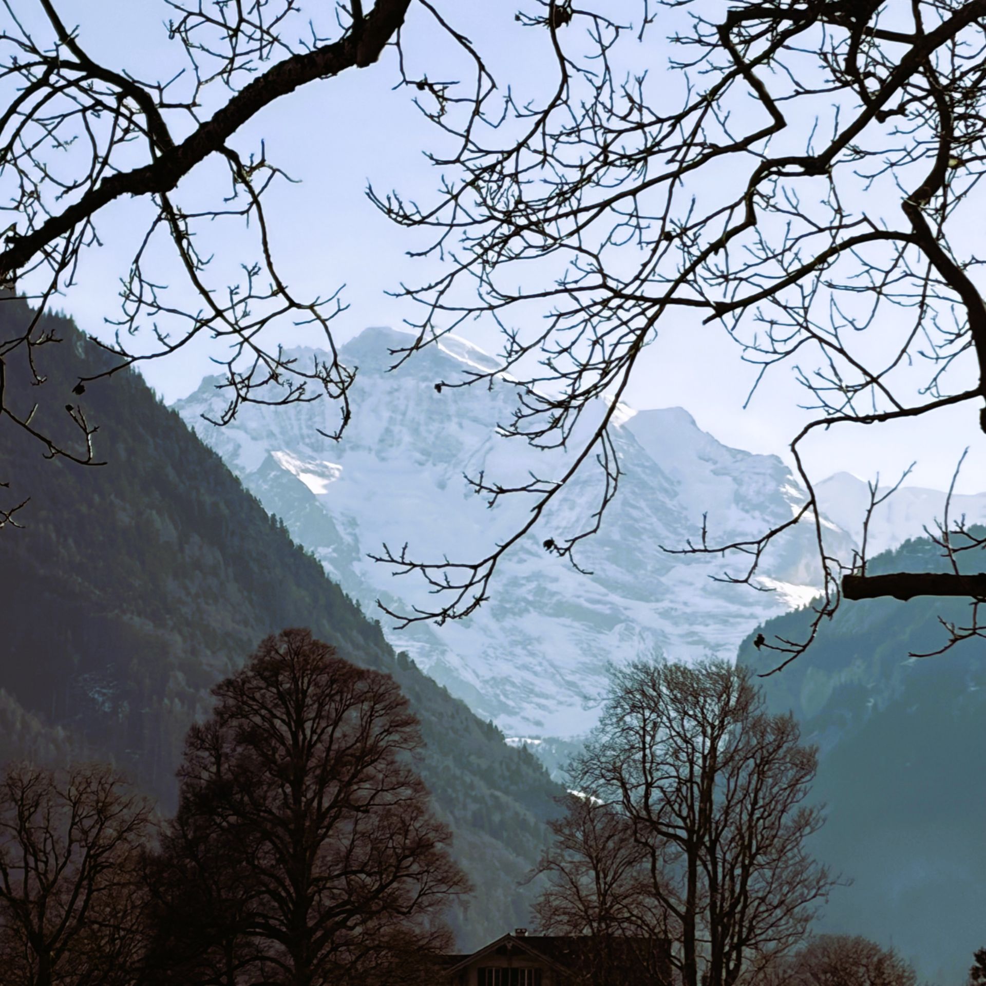 Best Swiss views and best Swiss Chocolate