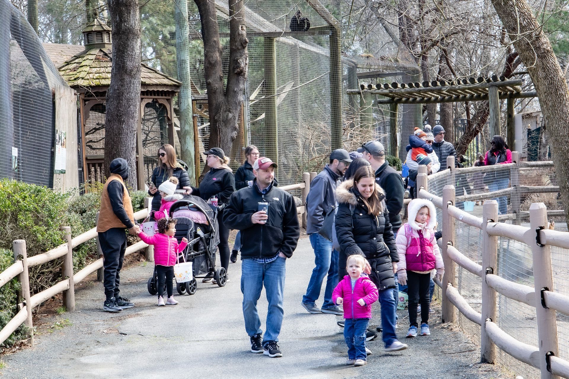 A crowd of guests walk through The Zoo, some stopping to look at the bobcat enclosure on one side and others looking at the muntjac deer yard on the other.