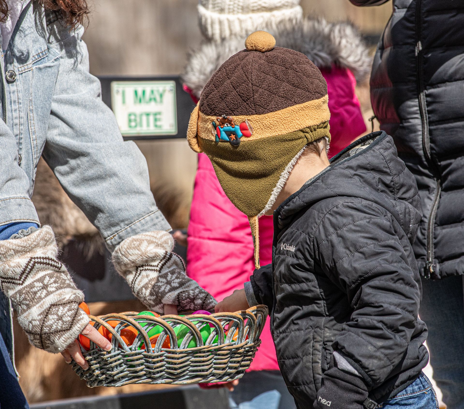 A little boy wearing a winter hat peers into a basket of colorful plastic eggs, deciding which one to choose. 