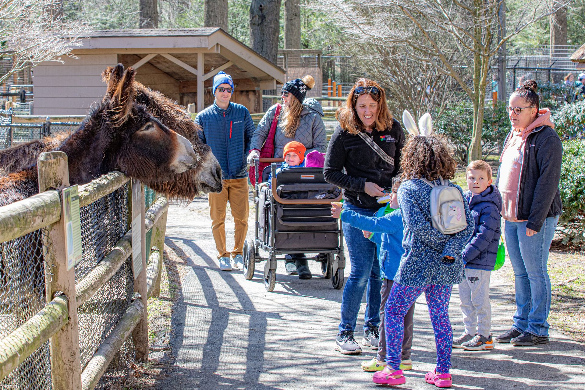 Two large donkeys reach their heads our of their enclosure to greet a group of guests wearing bunny ears and carrying Easter baskets.