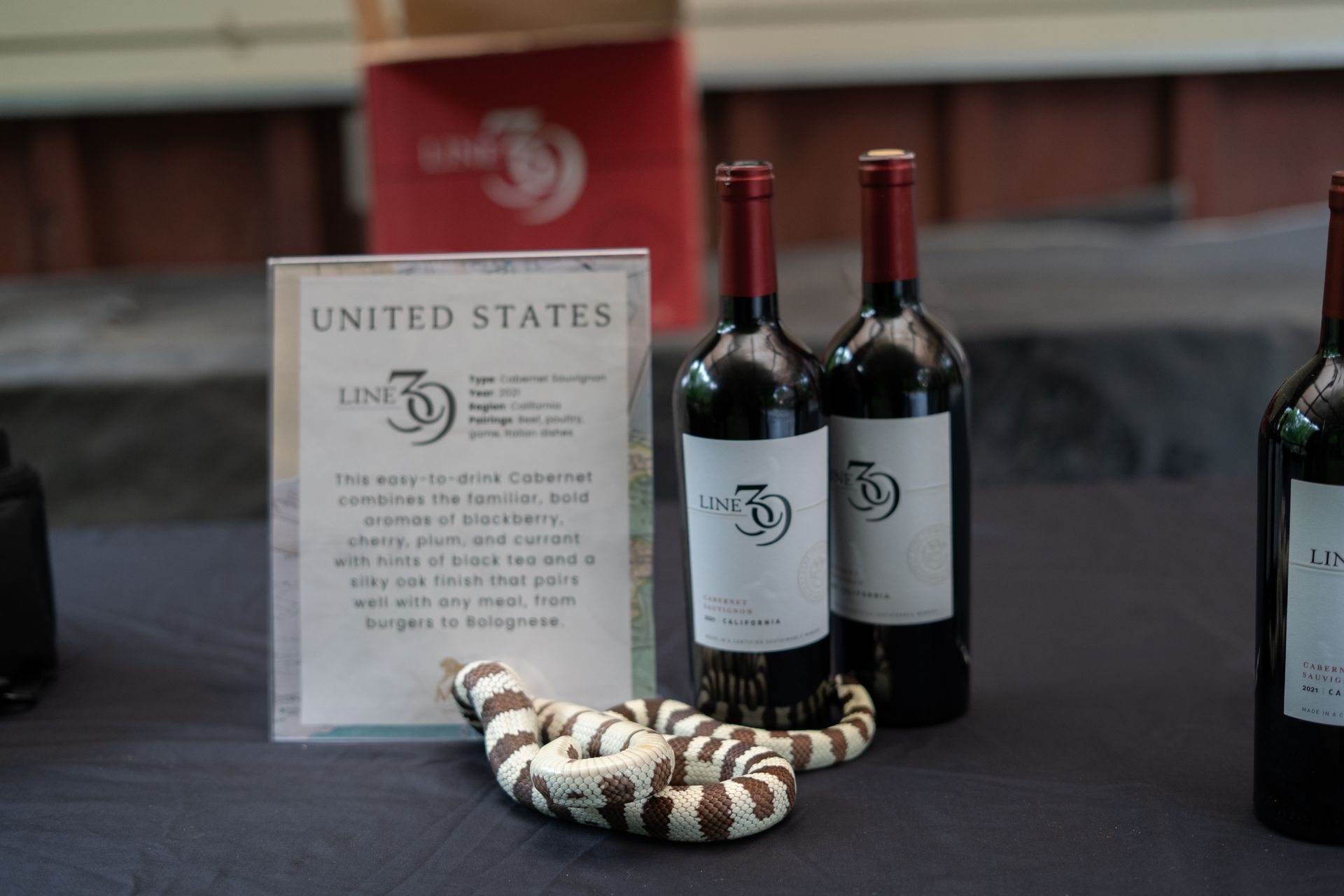 A black and white California king snake sits on a table with its tail wrapped around a bottle of pinot noir next to a sign that says UNITED STATES with the wine's logo on it.