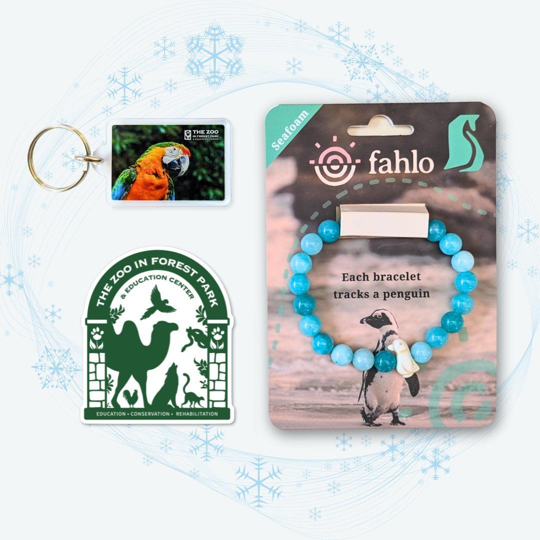 Merchandise on a winter-themed background. Merch includes: parrot keychain, zoo sticker, penguin Fahlo tracking bracelet.