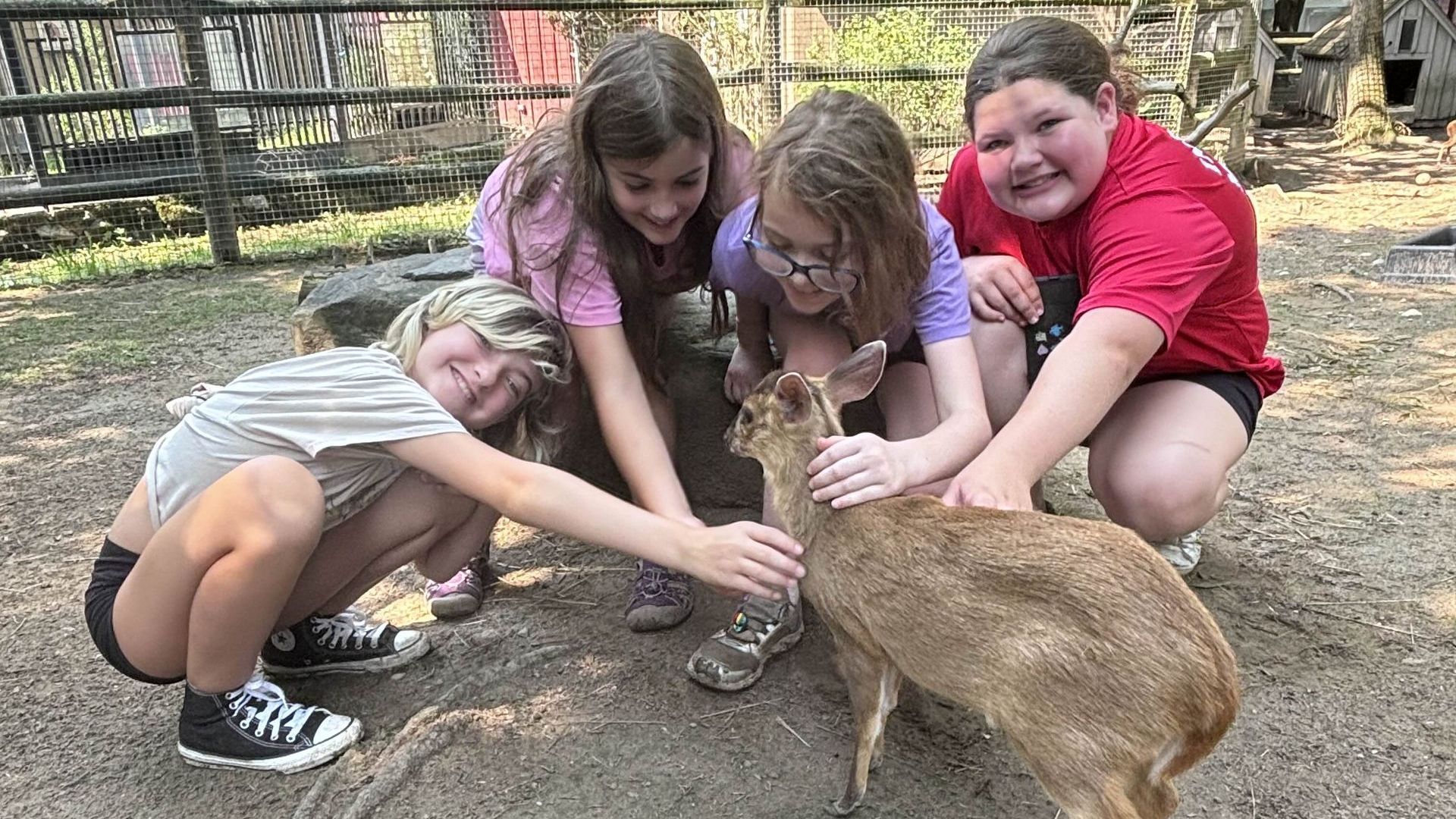 A group of four girls smile at the camera as they kneel down to pet a muntjac deer.