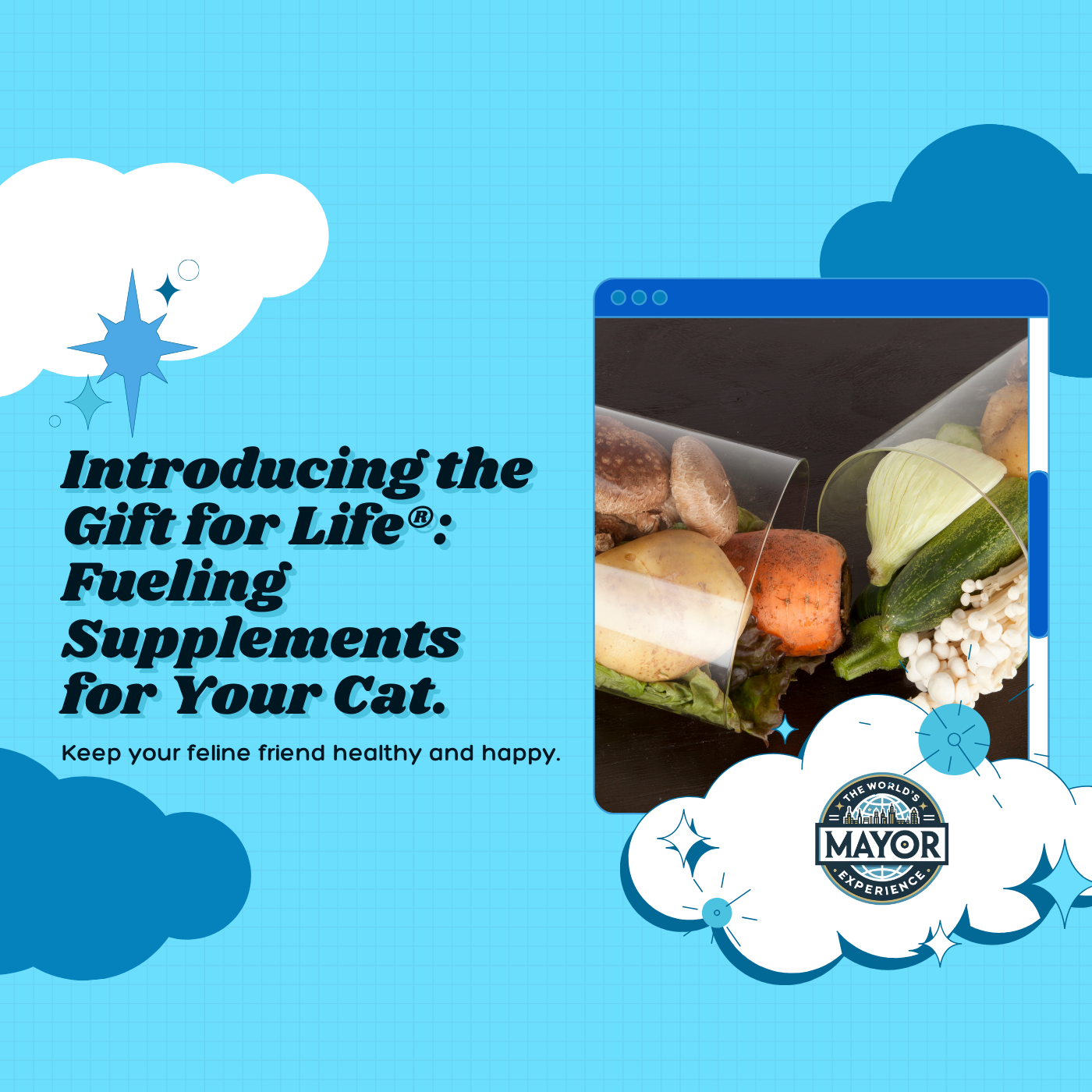 The Gift for Life®: A peptide supplement for your feline friend 