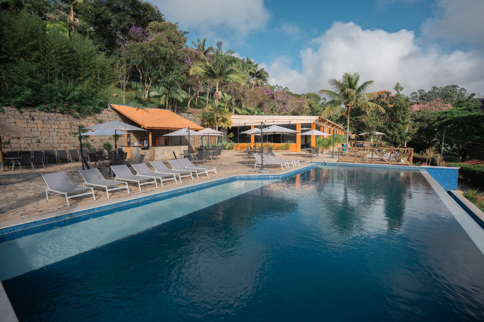 Uma vista aérea de uma grande piscina cercada por palmeiras.