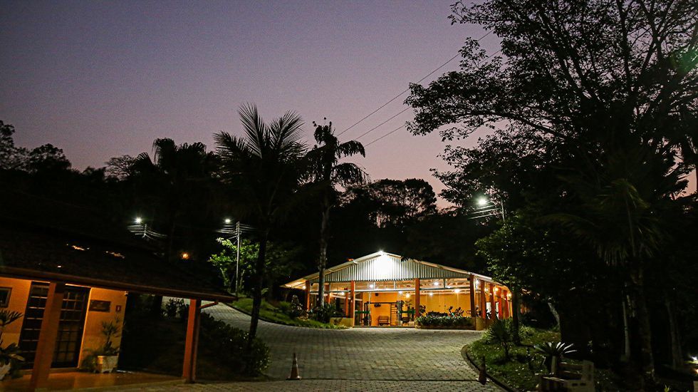 Um grande edifício é iluminado à noite cercado por árvores