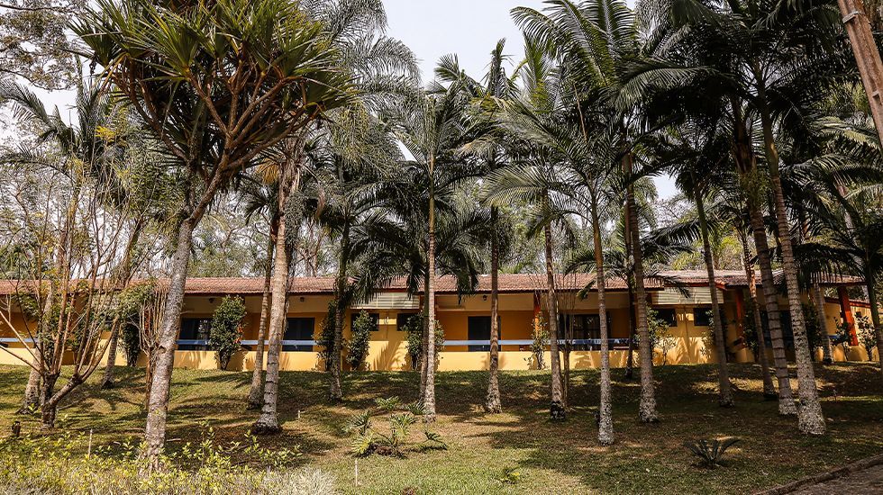 Um prédio com muitas palmeiras na frente.