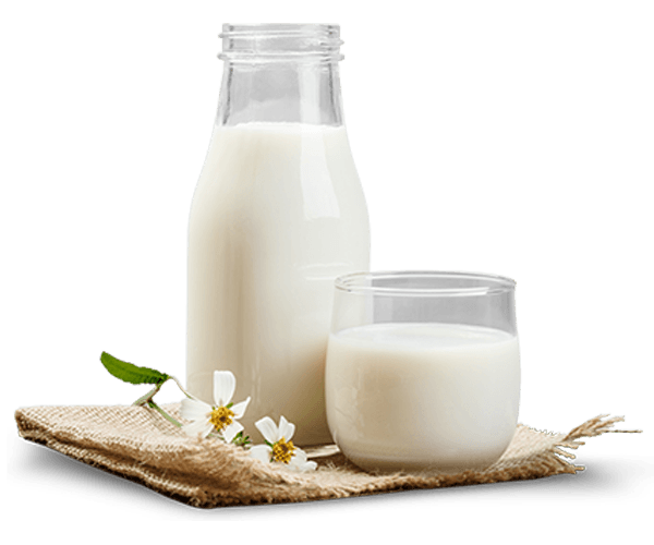 bicchiere e bottiglia di latte